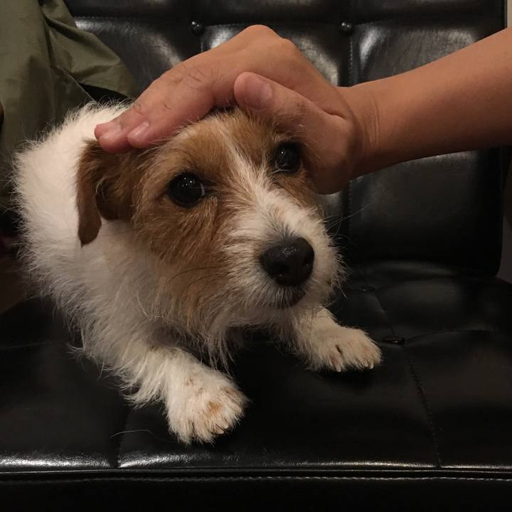 53d1599b a2dc 4fdd 99d1 98ee0f861645