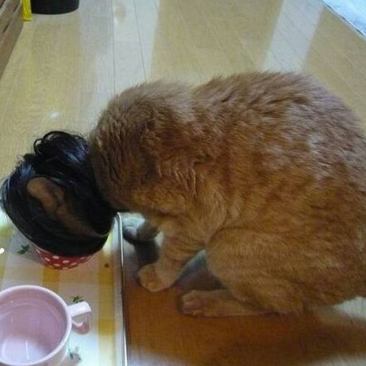 53d28c85 13f8 4bb5 a372 f8614ef5b6b7