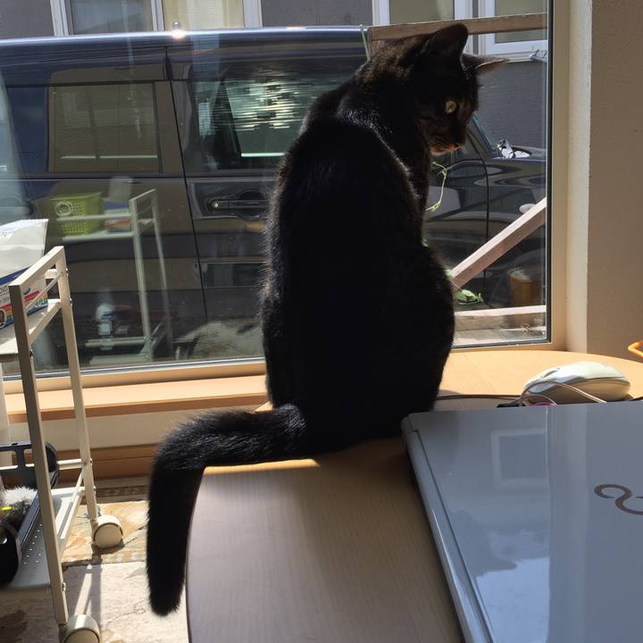 53d35129 c881 4324 af40 aa4255b185f8