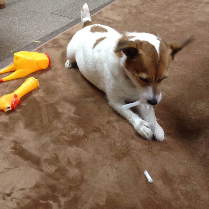 53d35e26 110d 4e13 a0ac ce31f6e2bcb4