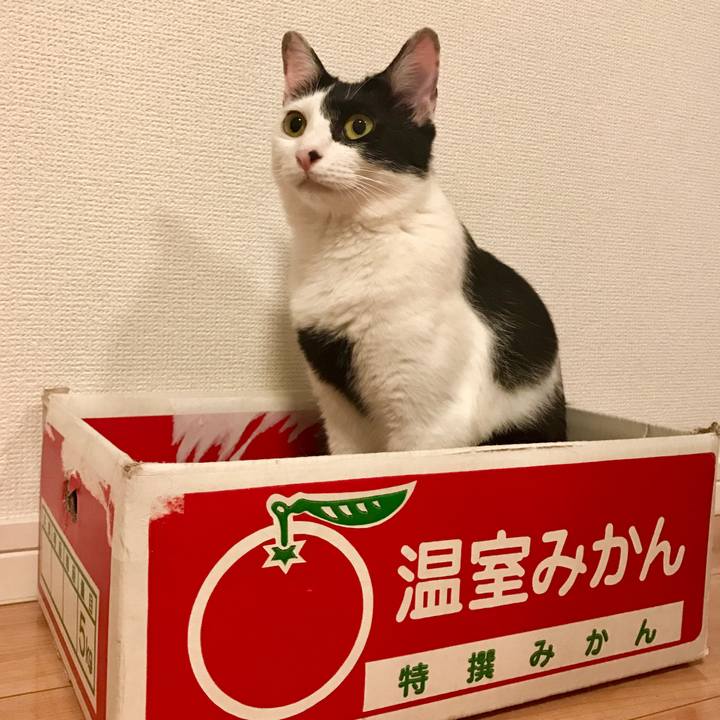 53d39c12 cf46 419a 83d5 4127375d956d