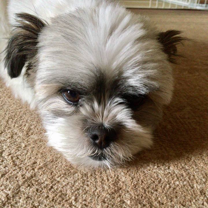 53d3d71a f3a8 4840 baab 31838ec99ea8