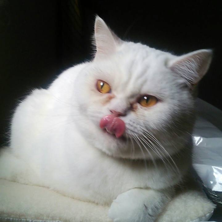 53d452ce 2d1e 45bb ab82 9c7410f850d0