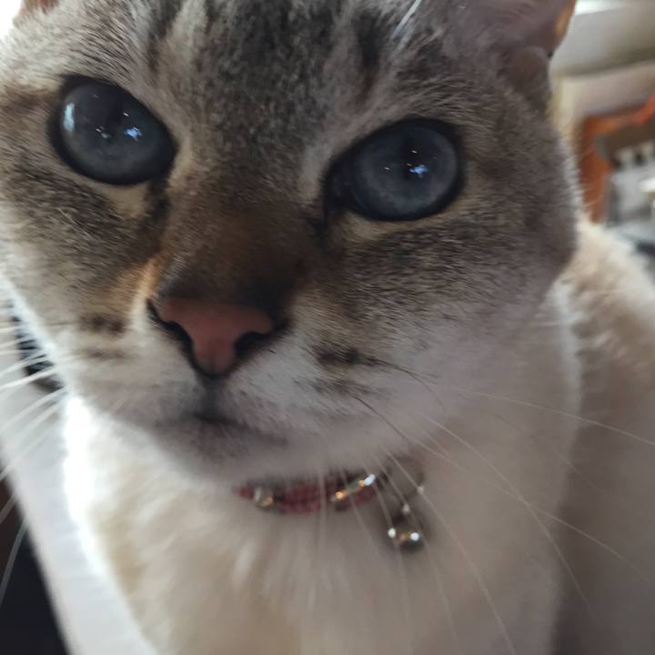 53d5a155 4478 4817 9808 575807f20615