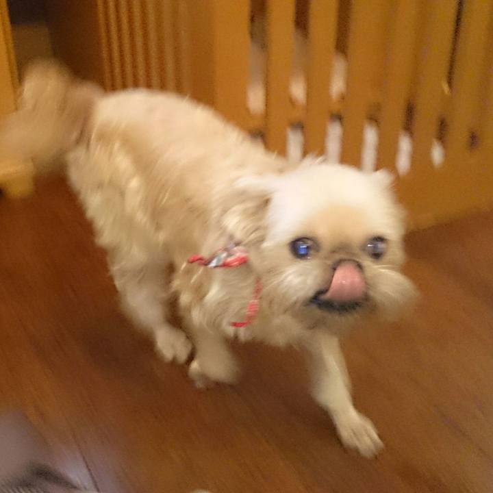 53d5b995 c5d6 4891 84fb 7756c418fd54