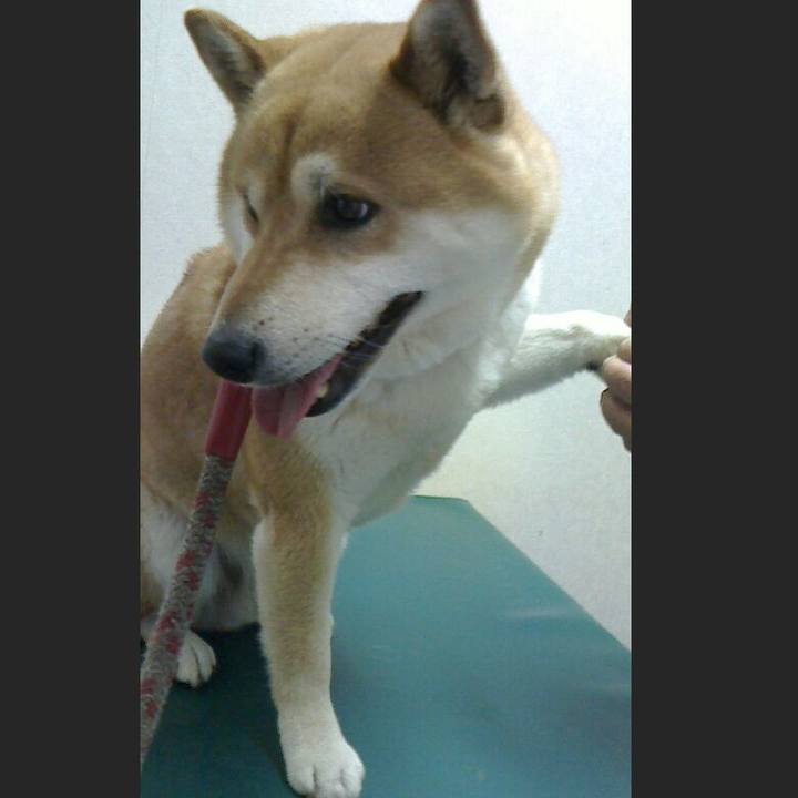 53d5c3c8 053f 44de 95a8 c8b7d8afdb87