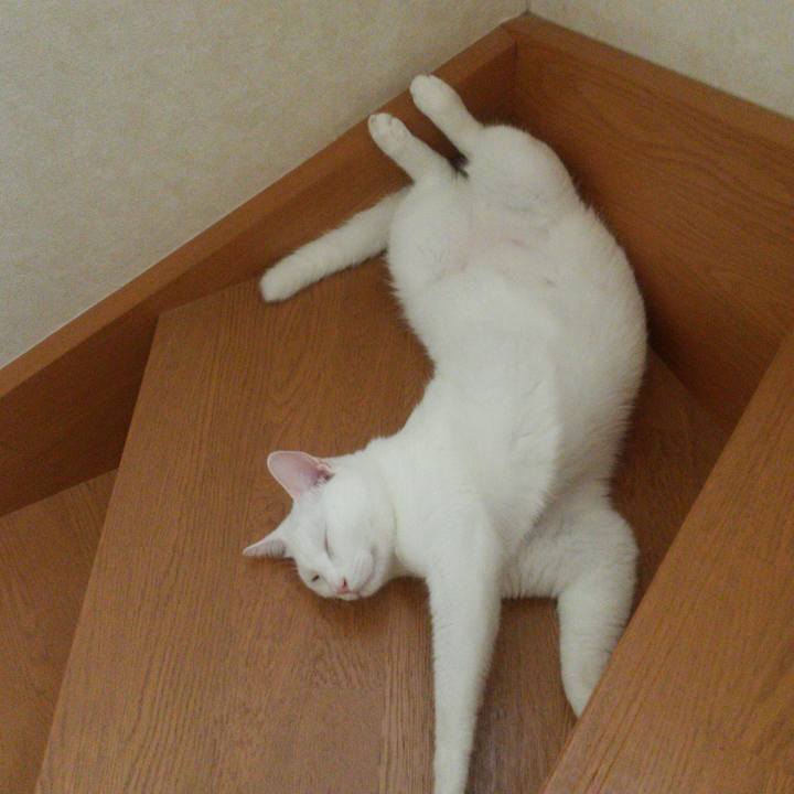 53d68458 6429 4c6a b9b2 3e058aeafedb