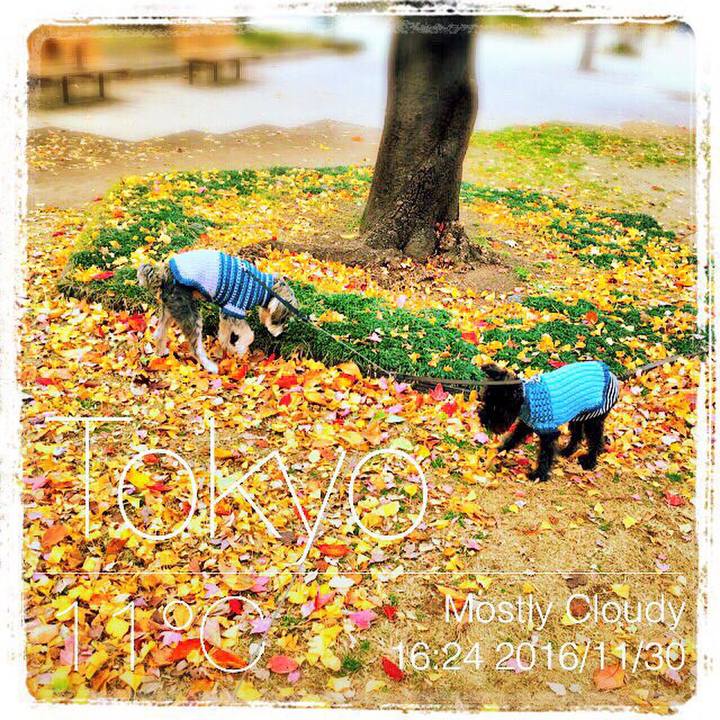 53d69a39 0227 4976 baf0 34a719aa3e2b