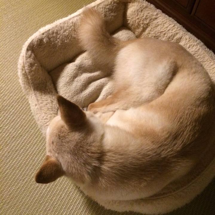 53d7443b 3be6 472a af1c 56a73ab21311