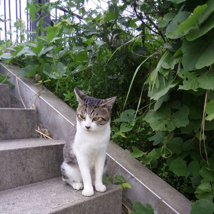 53d750d2 1580 4d20 90f7 f6119cb39f6c