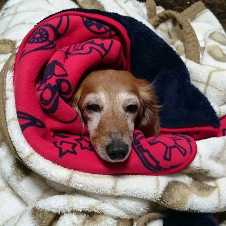 53d79212 3211 46bb 873c 2aed07d47f67