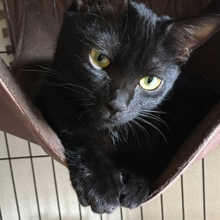 53d7b361 3061 4989 b32e f5dee0641426