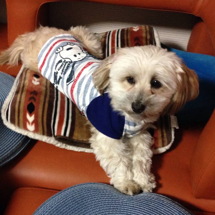 53d81dbe 38b5 4fdd 86d3 53717e7a8d13