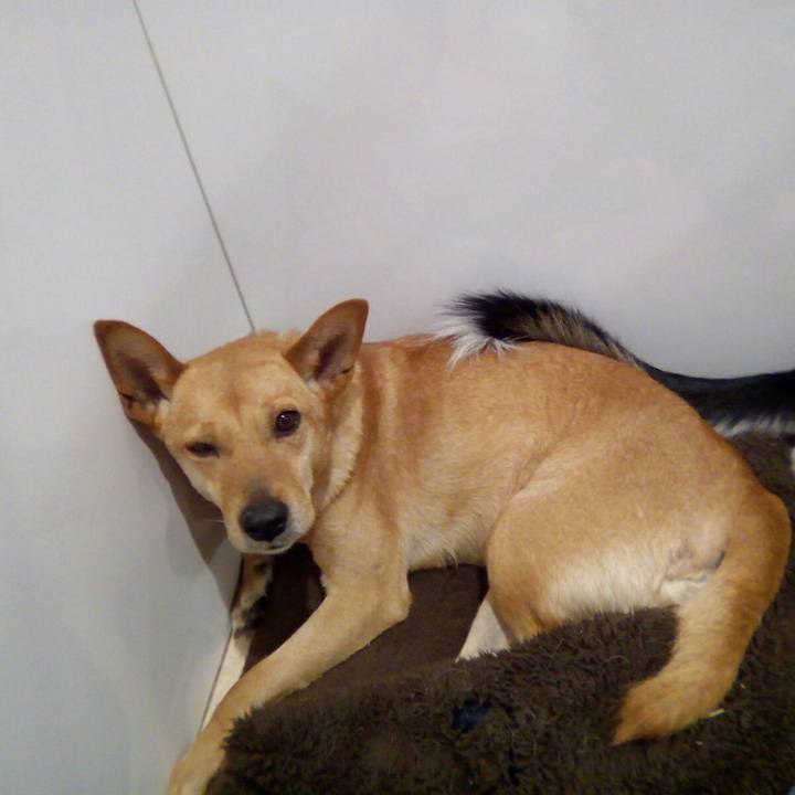 53d8b56e cace 4ee4 8b52 6ee2c0e14aba