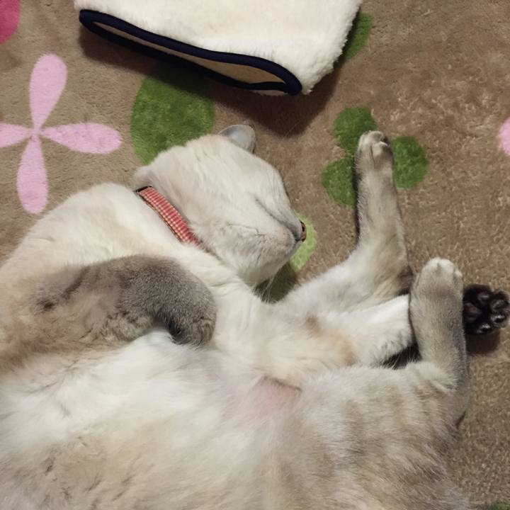 53d8ba59 5f9f 4bb4 8c53 fb24967d6d0d