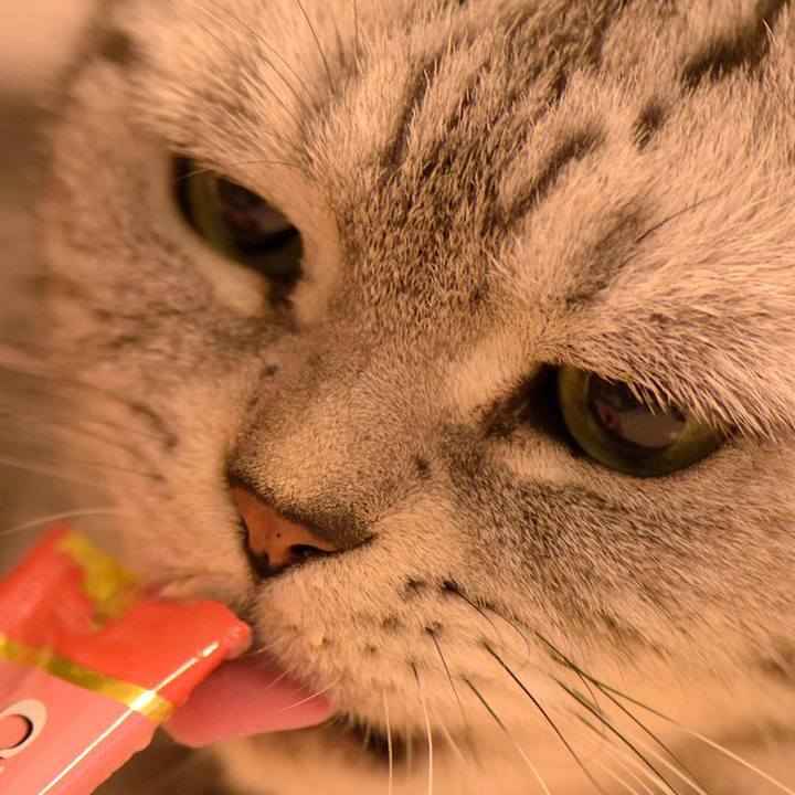 53d8f9c7 56a9 4ea4 b730 81a5dec64933