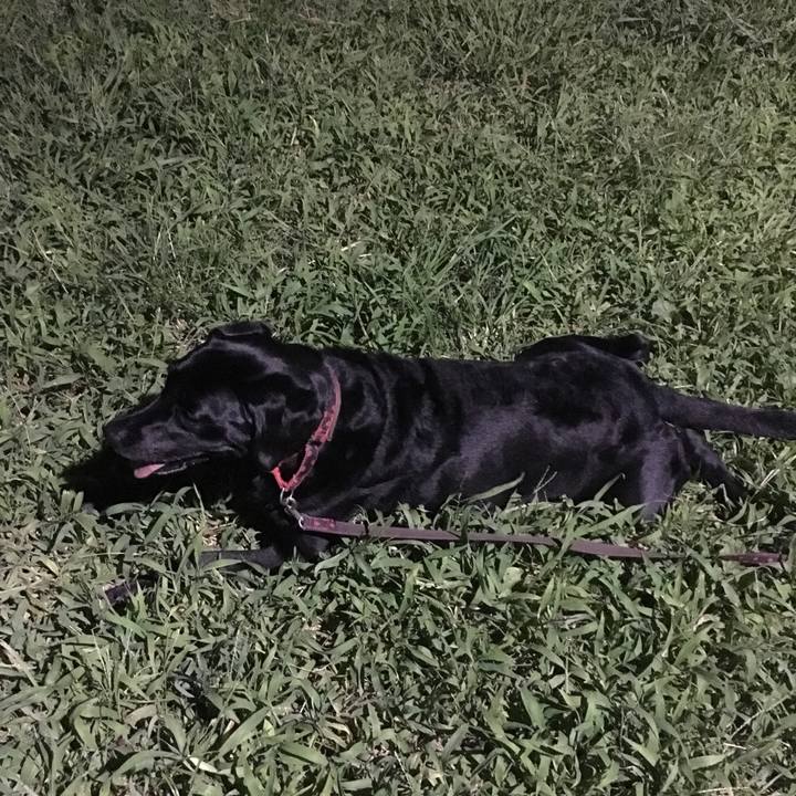 53d95574 c167 4c18 858c ddb0ae45b977