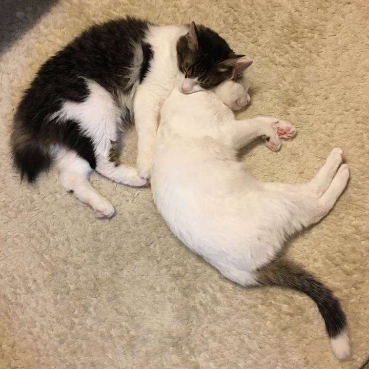 53db9f22 6c58 4711 a4e6 69a45064ea33