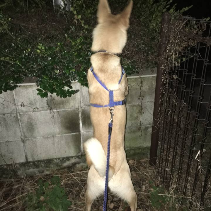 53dba9ad a555 4d9f bac2 99f0950cd29a