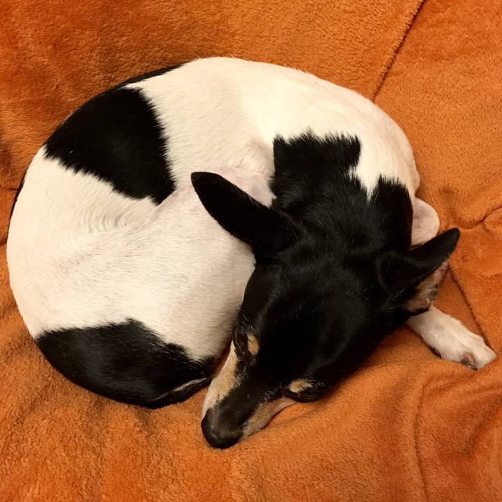 53dbb37f 2a6c 49b1 8e97 76463f6f5af3