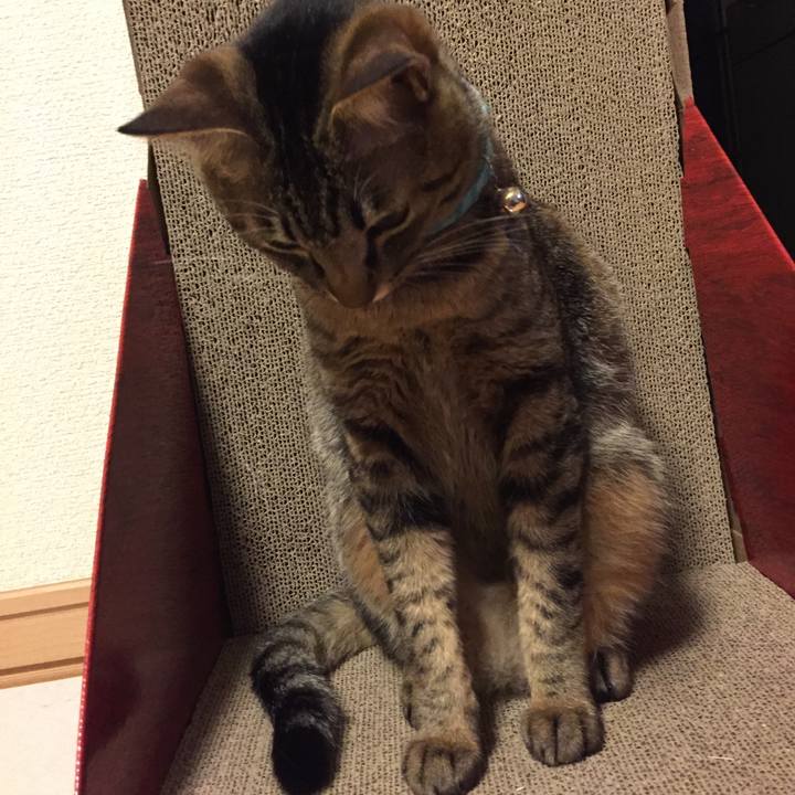 53dbe3f6 40ae 4f7f 8514 3c340f100aae