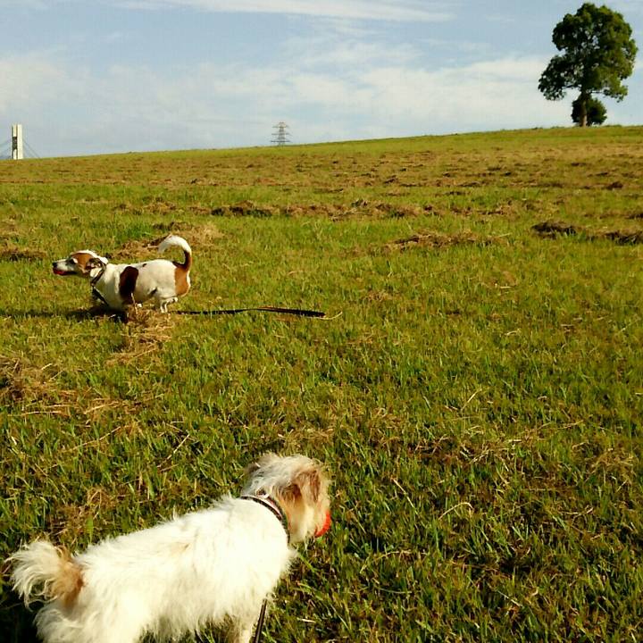 53dcab4c ef1f 42cf a69c 24d2c4cb7d69