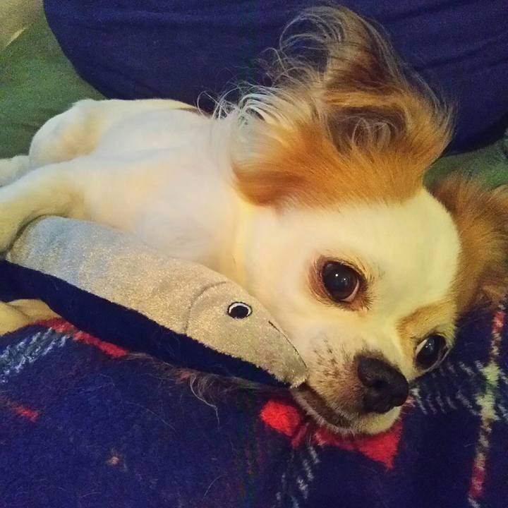 53ddb1da 4e9e 4978 9d3d ce1919c05b2c