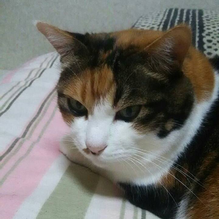 53ddf7ae 6521 448d ae93 63ade111a8ea