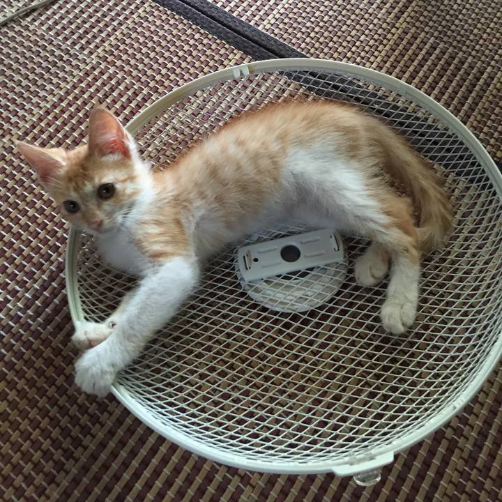 53de0b94 6e36 4783 9612 a6177d13ca98