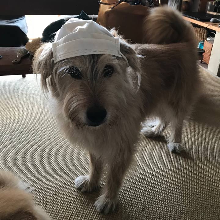 53de22fe b9aa 4a5c 892b 82a0073424e1