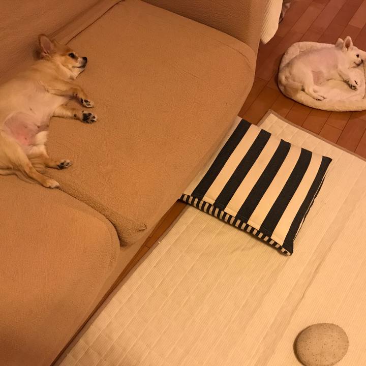 53decd93 ca2d 4593 82b8 bed449d0e89f