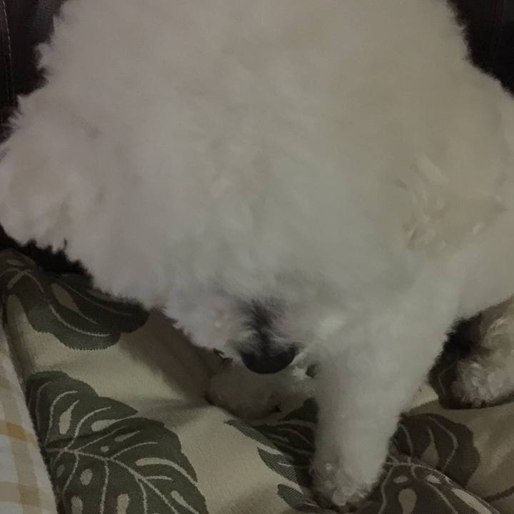 53deeff6 d69c 467d b6b5 cfd94a58fda0