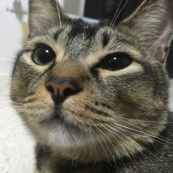 53def4b8 1762 4f99 8e1e 1169d82c0c0e