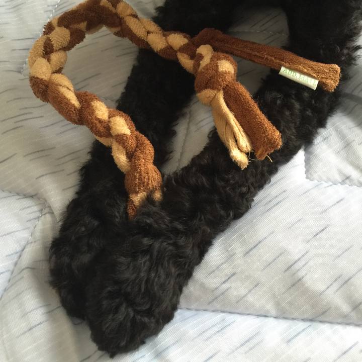 53df209a 2a1b 49a5 b312 5f9b75dcabc5