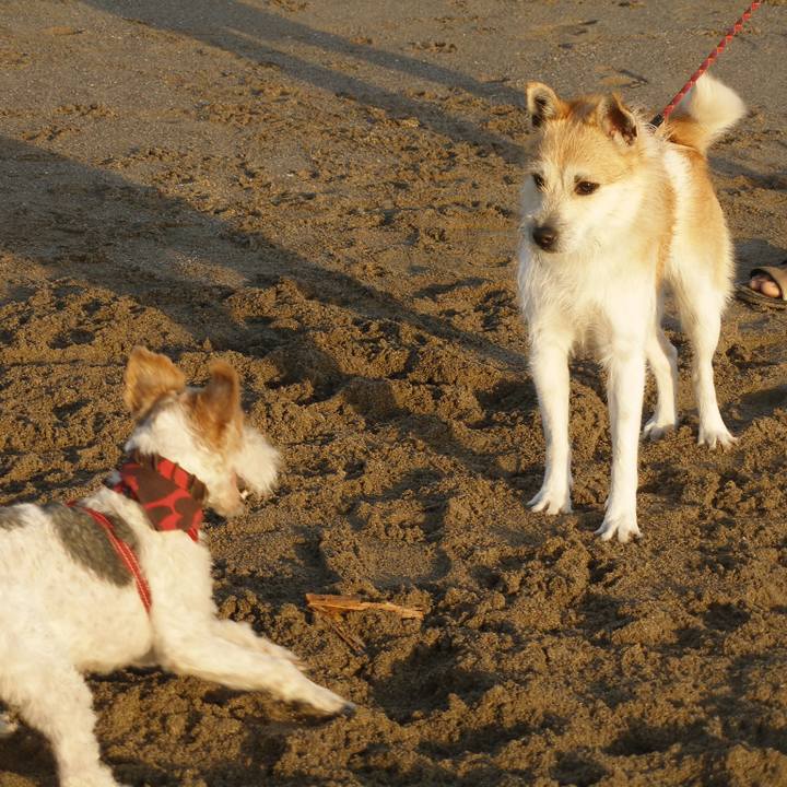 53df9780 57d0 4322 acab 4b837802c377