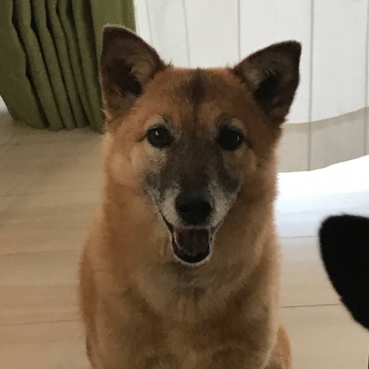 53dfc463 92ae 459c 94fd b9f94e4d1224