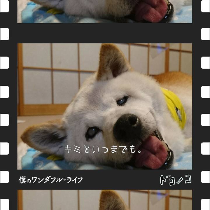 53dfc4a3 09a9 4c57 82a7 5c56f4fe659c