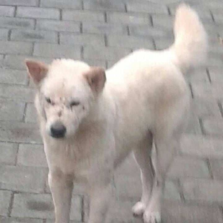 53e05e45 ef51 4b2e b800 8d0eadb91895