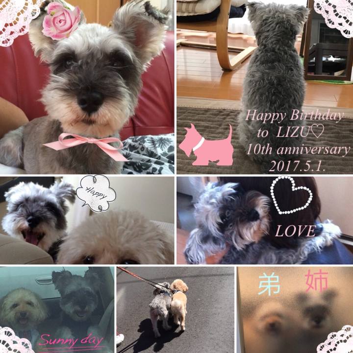 53e06214 4639 40c0 b413 e8e4b75f52c4