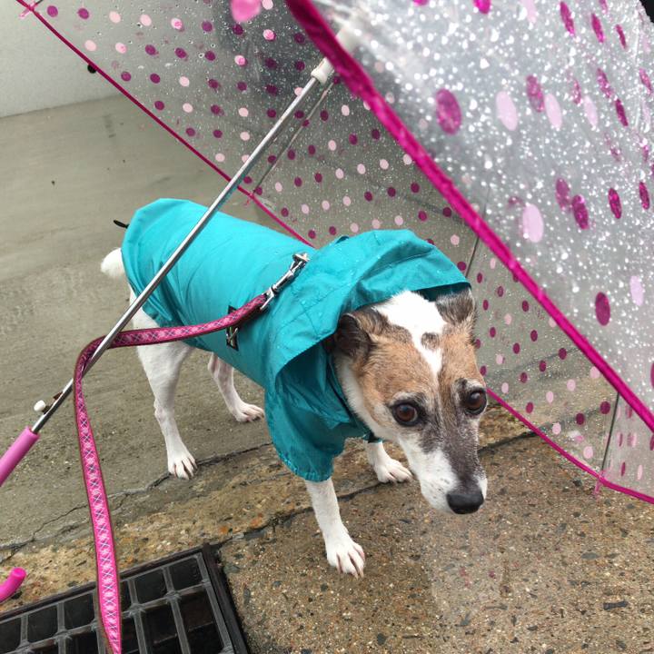 53e0a7dd 1d61 4379 9e7a 33e75508f518