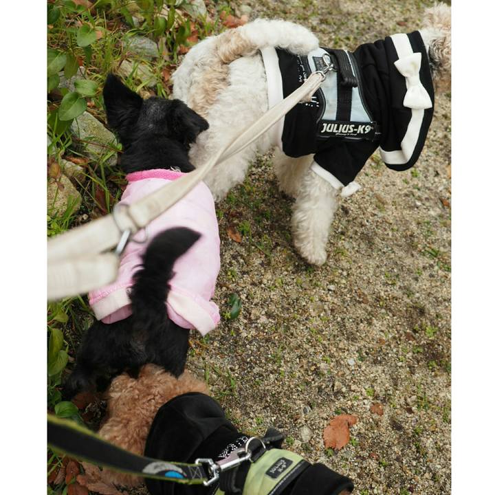 53e18631 c8e7 429f 951b 78a2f638d3cb