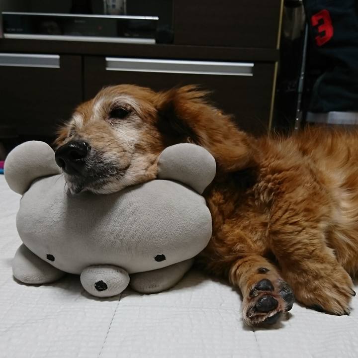 53e189b3 26e1 4bbb b760 07cf110026b3