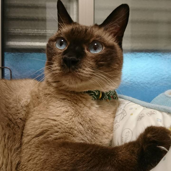 53e1e88f 47df 47e2 9f6a a9424ddb7a1b