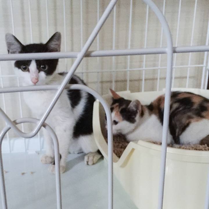 53e32497 5590 47b9 b63d 9410a67a8ff5