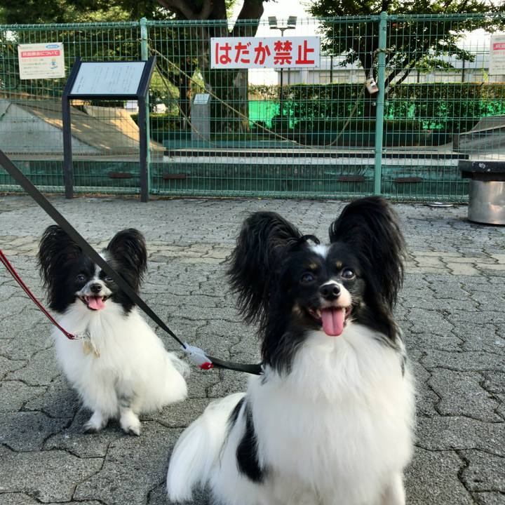 53e41af4 749d 4b0e 9453 ac046c70d553