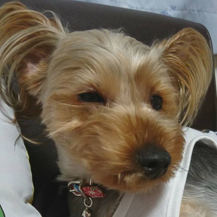 53e48830 cb56 402d 906c 0ee67a0dc967