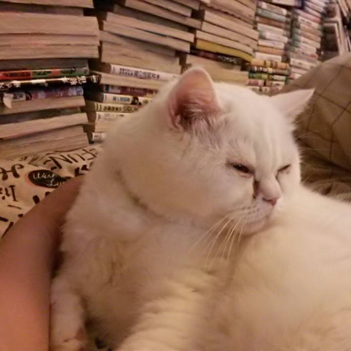 53e51d4a cdc6 4487 a20c d4787ccdfca7