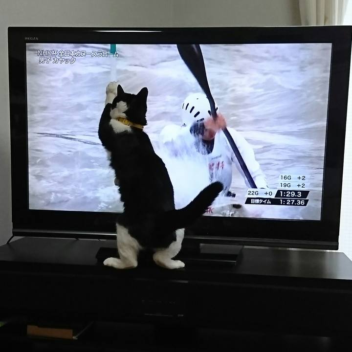 53e6d831 552b 4796 ac87 5837c1d11fc7