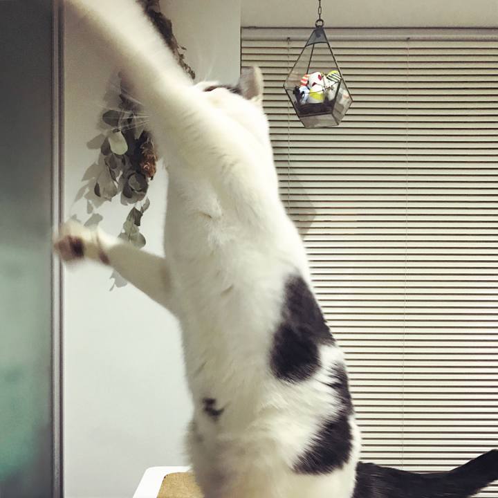 53e72824 2d61 4728 89f8 8dc7a0606da0