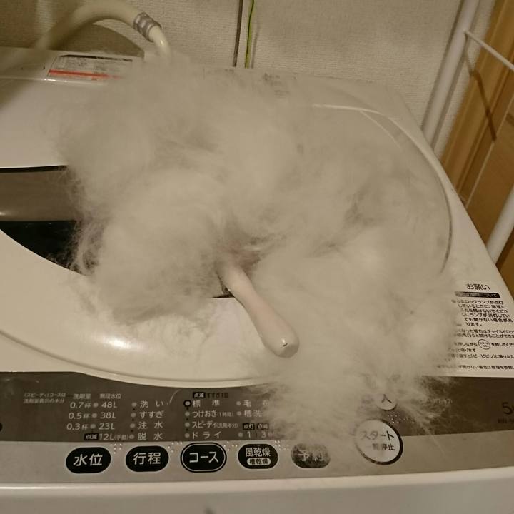 53e7737c f319 4352 9576 7e58796b4dbf